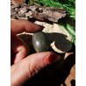 Labradorite - Polie 10 gr