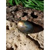 Labradorite - Polie 10 gr