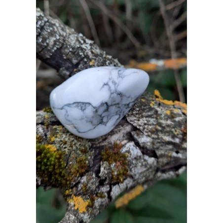 Howlite - Polie 24 Gr