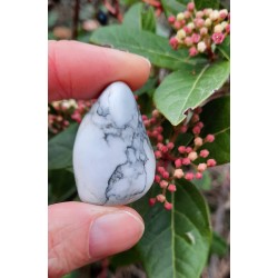 Howlite - Polie 24 Gr