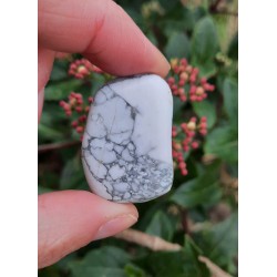 Howlite - Polie 26 Gr