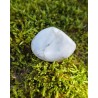 Howlite - Polie 24 Gr