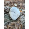 Howlite - Polie 24 Gr