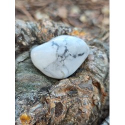 Howlite - Polie 24 Gr