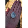 Howlite - Polie 24 Gr