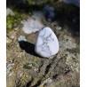 Howlite - Polie 20 Gr