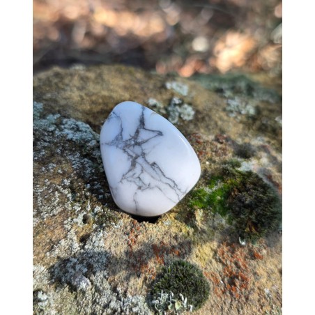 Howlite - Polie 20 Gr