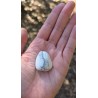 Howlite - Polie 20 Gr