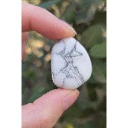 Howlite - Polie 20 Gr