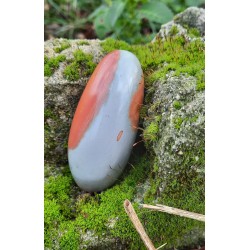 Jaspe Polychrome - Poli 69 Gr