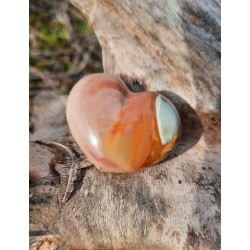 Jaspe Polychrome - Coeur 14 Gr