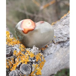 Jaspe Polychrome - Coeur 21 Gr
