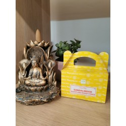 Encens Backflow - Satya Bois de Santal