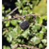 Hématite  - Pendentif coeur 4 gr