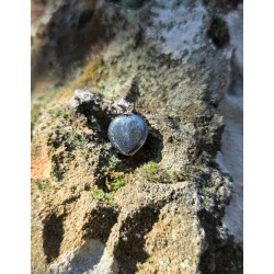 Hématite  - Pendentif coeur 4 gr