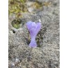 Améthyste - Pendentif  ange 6 gr