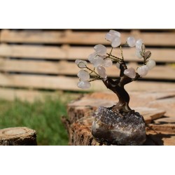 Arbre de vie - Cristal de roche socle Améthyste