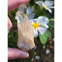 Citrine Naturelle - Polie 26 gr