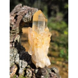 Citrine Naturelle - Brute druse 95 gr