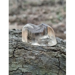 Citrine Naturelle - Polie 10 gr