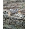 Citrine Naturelle - Polie 10 gr