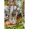Citrine Naturelle - Polie 26 gr