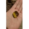 Oeil De Tigre - Poli 18 Gr