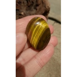 Oeil De Tigre - Poli 18 Gr