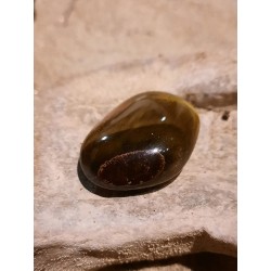 Oeil De Tigre - Poli 18 Gr