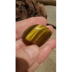 Oeil De Tigre - Poli 18 Gr