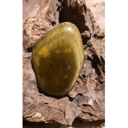 Oeil De Tigre - Poli 39 Gr