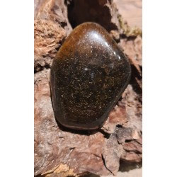 Oeil De Tigre - Poli 39 Gr