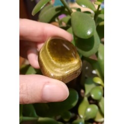 Oeil De Tigre - Poli 39 Gr