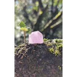 Kunzite - Brute 10 gr