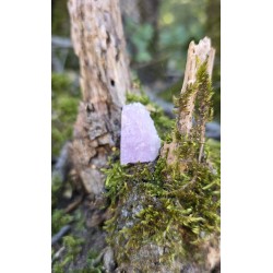 Kunzite - Brute 11 gr
