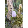 Kunzite - Brute 11 gr