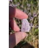 Kunzite - Brute 11 gr