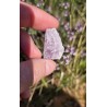 Kunzite - Brute 11 gr