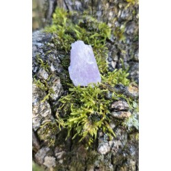 Kunzite - Brute 11 gr