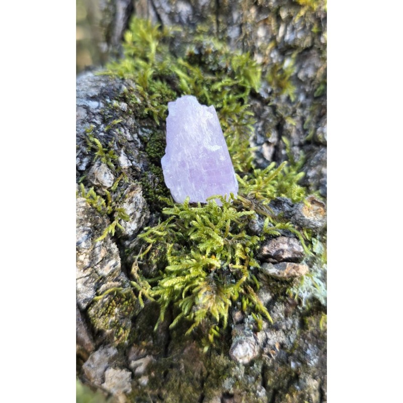 Kunzite - Brute 11 gr Kunzite - Brute 11 gr