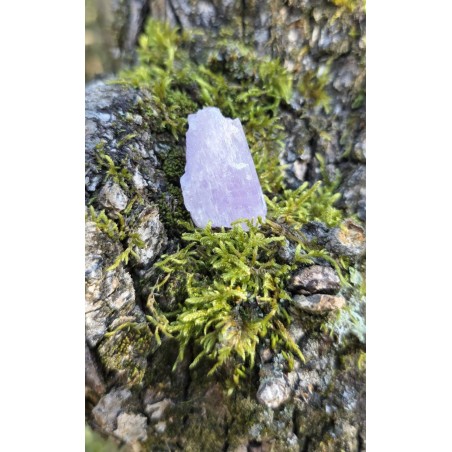 Kunzite - Brute 11 gr
