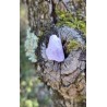 Kunzite - Brute 11 gr