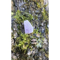 Kunzite - Brute 11 gr