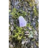 Kunzite - Brute 11 gr