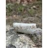 Bois Fossilisé - Brut 65 gr