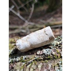 Bois Fossilisé - Brut 65 gr