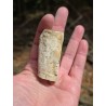Bois Fossilisé - Brut 65 gr