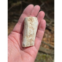 Bois Fossilisé - Brut 65 gr