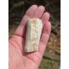 Bois Fossilisé - Brut 65 gr