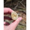 Bois Fossilisé - Brut 65 gr